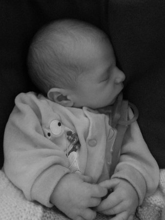2012-12-27 10.38.57